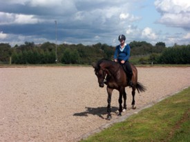 60m x 30m Arena at Chescombe Farm
