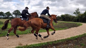 New Gallops at Chescombe Farm